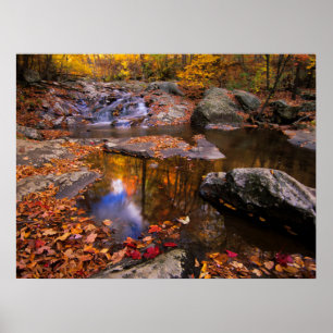 Upper Whiteoak Falls, Shenandoah National Park, VA Poster