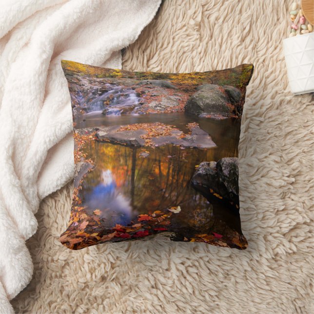 Upper Whiteoak Falls, Shenandoah National Park, VA Throw Pillow (Blanket)