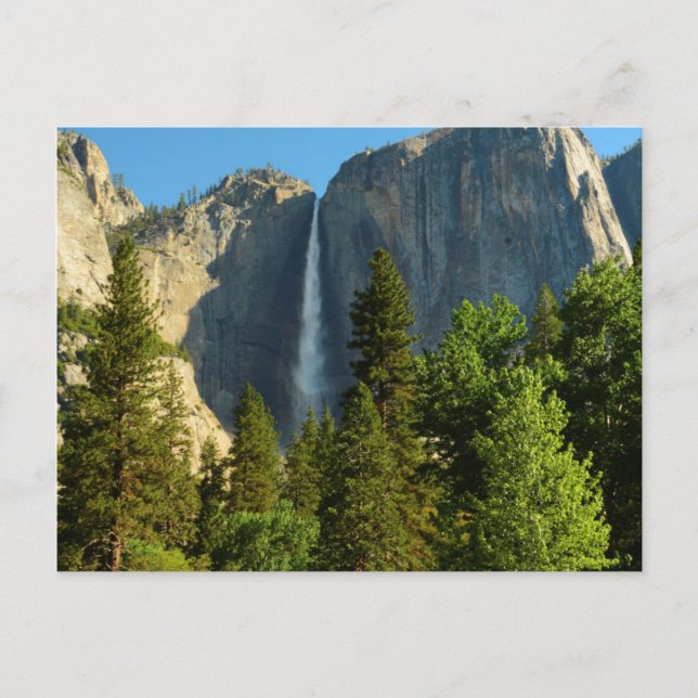 Upper Yosemite Falls, Merced River, Yosemite Postcard (Front)