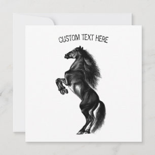 Upright Black Wild Horse - Drawing - Add Your Text