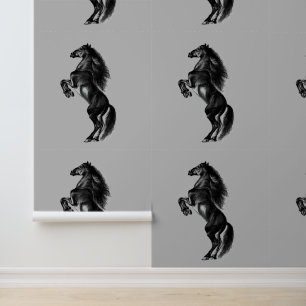 Upright Black Wild Horse Wallpaper
