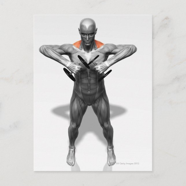 Upright Row Exercise 2 Postcard (Front)