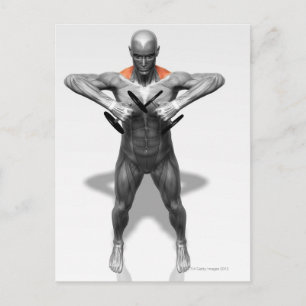 Upright Row Exercise 2 Postcard