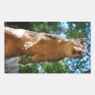 Upright Squirrel Sticker