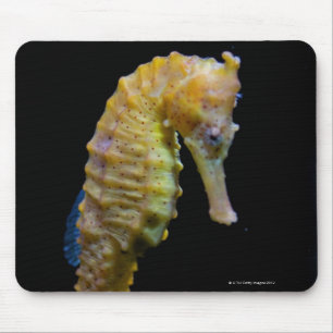 upright swimmerequine shapeprehensile taillong mouse pad
