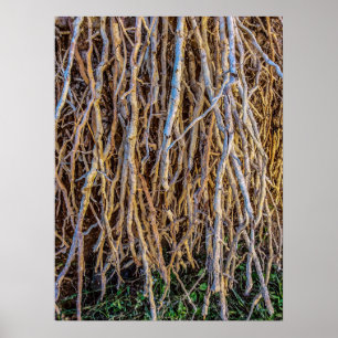 Uprooted 7 Print, Poster Paper (Semi-Gloss)