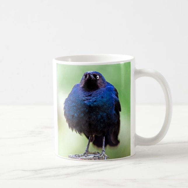 Upset Starling Coffee Mug (Right)