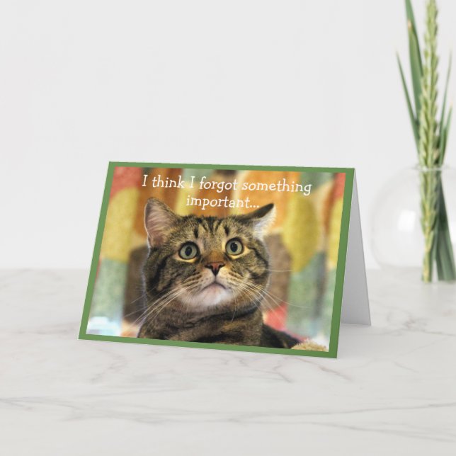 Upset Tabby Cat Belated Birthday Card (Front)