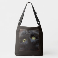 Upside-Down and Right Side Up Black Cat
