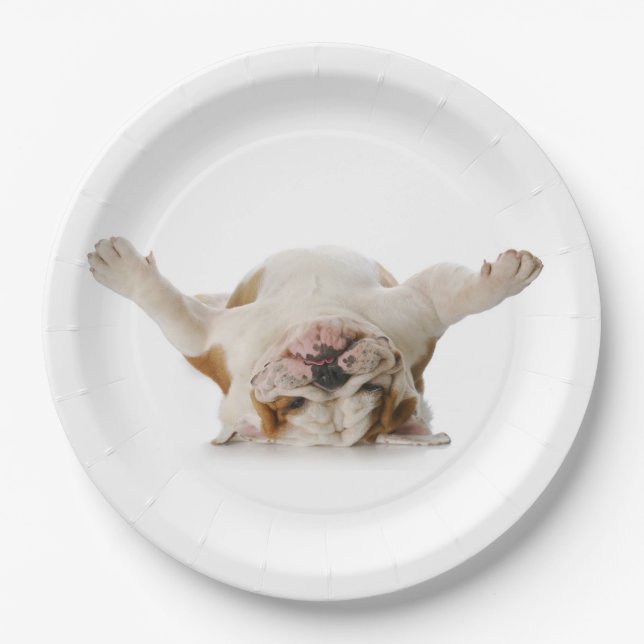 Upside Down Bulldog Paper Plates (Front)