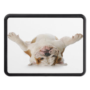 Upside Down Bulldog Trailer Hitch 2" Trailer Hitch Cover