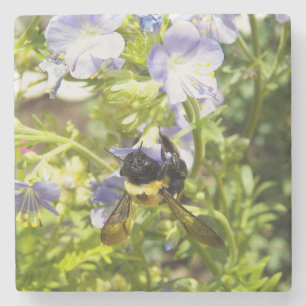 Upside Down Bumble Bee Stone Coaster