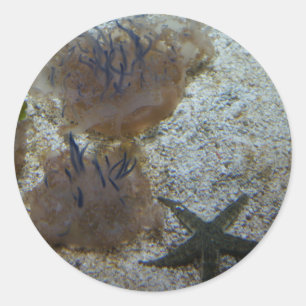 Upside-down Jellyfish Stickers