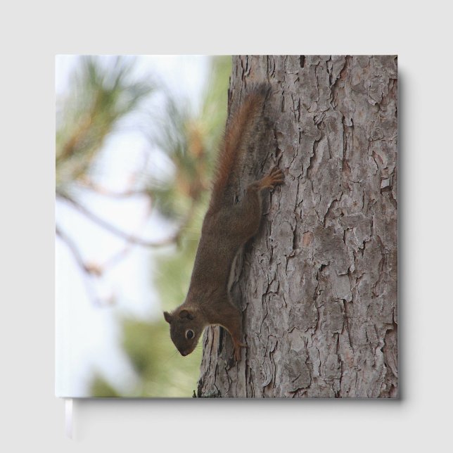 Upside Down Squirrel Guest Book (Front)