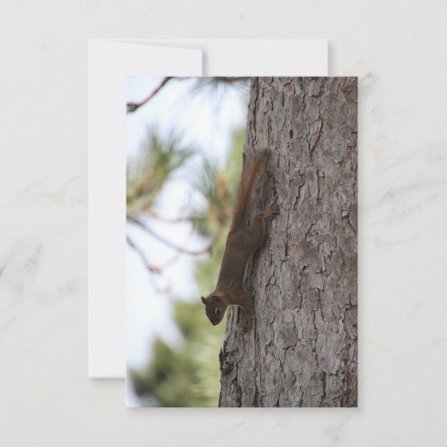 Upside Down Squirrel Response Card (Front)
