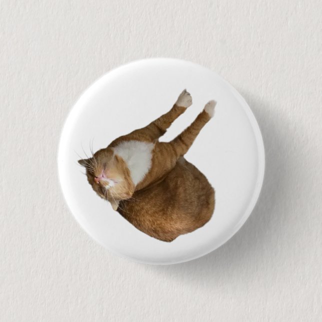 Upside-Down Sunshine Cat 1 Inch Round Button (Front)