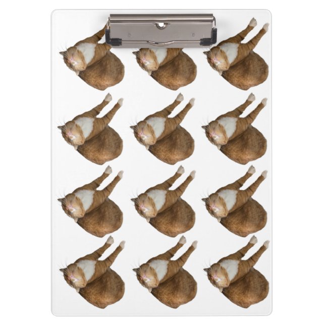 Upside-Down Sunshine Cat Clipboard (Front)