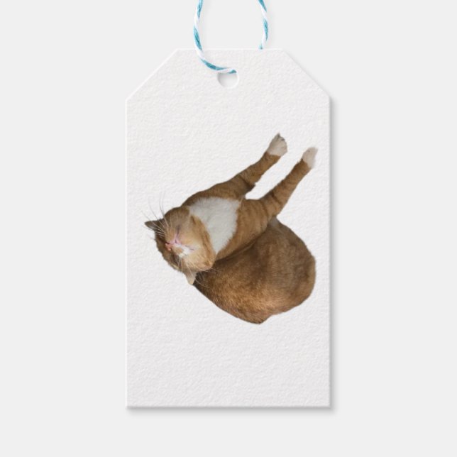 Upside-Down Sunshine Cat Gift Tags (Front)