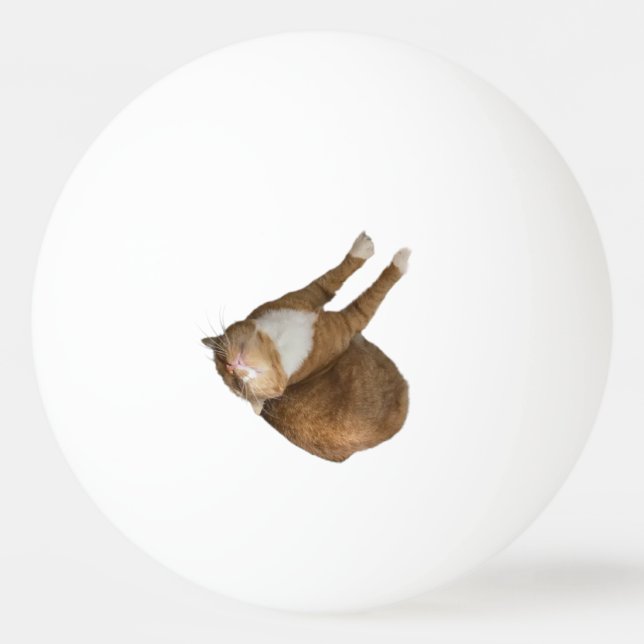 Upside-Down Sunshine Cat Ping Pong Ball (Front)