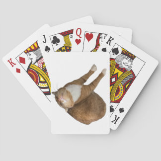 Upside-Down Sunshine Cat Playing Cards