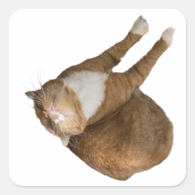 Upside-Down Sunshine Cat Square Sticker (Front)
