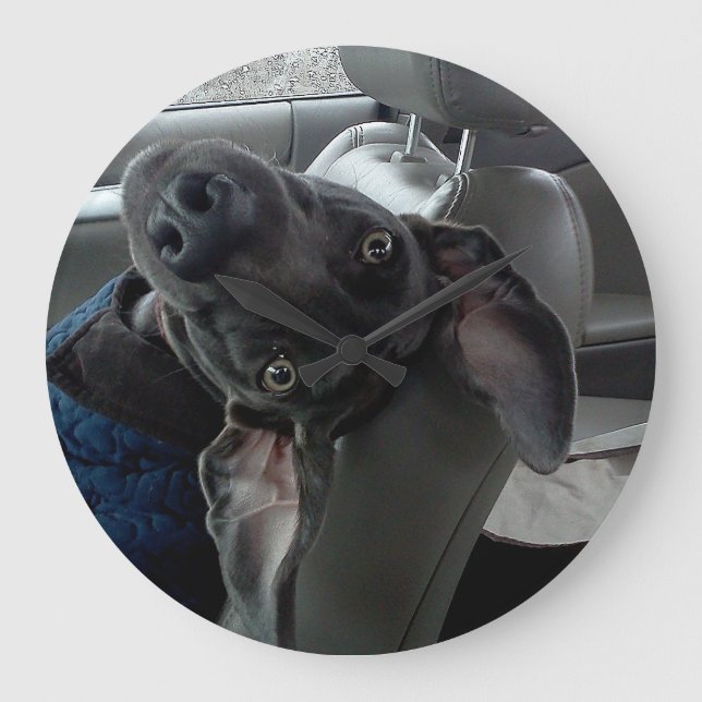 Upside-down Weimaraner Wall Clock (Front)