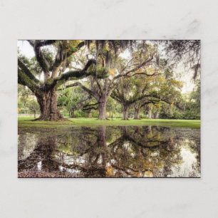 Uptown New Orleans Rain Postcard