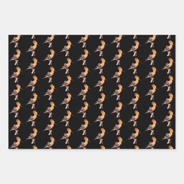 Upupa epops wrapping paper sheet (Front)