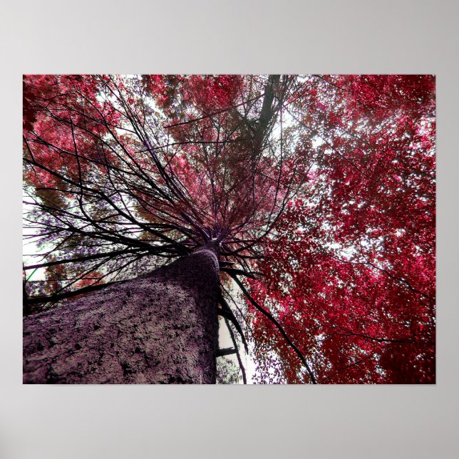 Upward Bound Poster (Front)