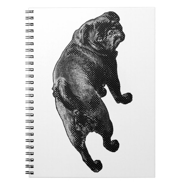 Upward Wonder, Open Page Notebook (Front)