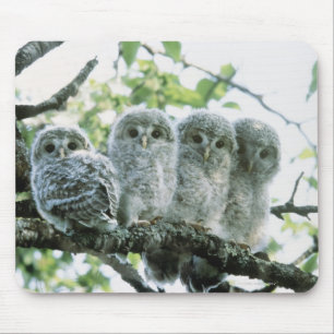 Ural owetsl. Ikeda-machi, Hokkaido, Japan Mouse Pad