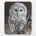 Ural Owl