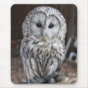 Ural Owl Mouse Pad