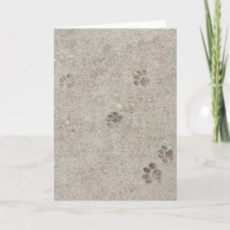 Urban Archeology, Pawprint #2 Blank Greeting Card