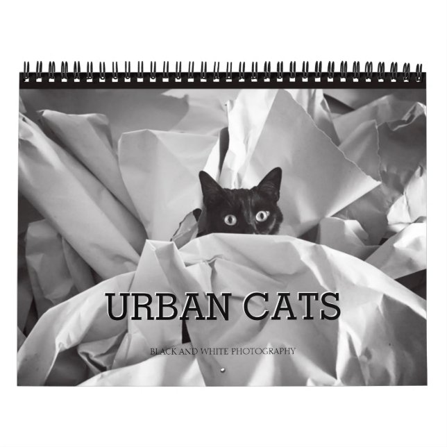 Urban Cats Black and White Photography Calendar (Cover)