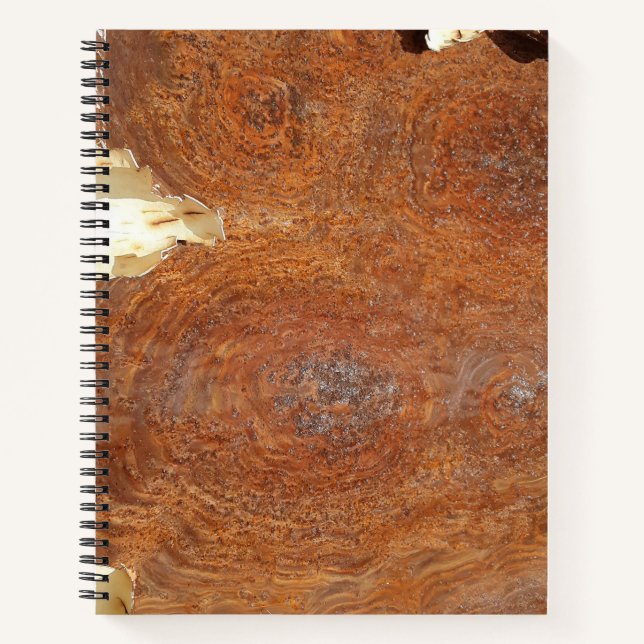 Urban Decay Theme - Rusty Metal Spiral Notebook (Front)