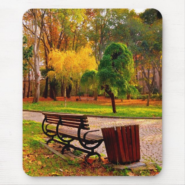Urban Fall   (HDR) Mouse Pad (Front)
