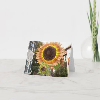 Urban Gardens Notecard