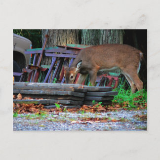 Urban Integration Postcard