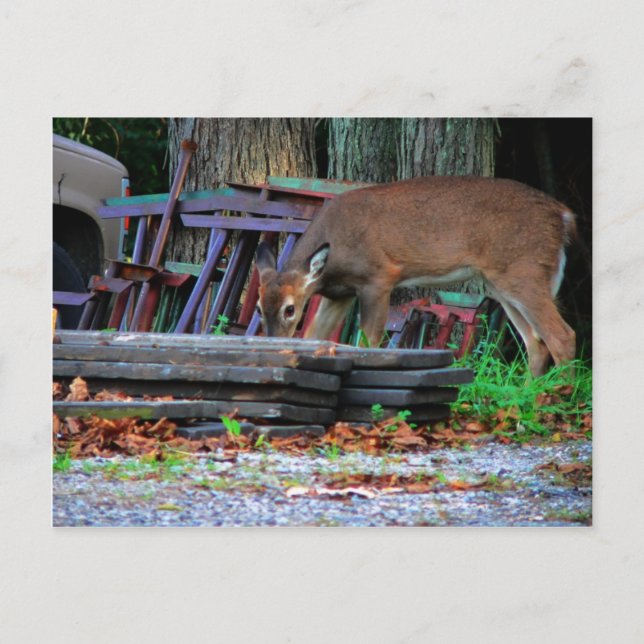 Urban Integration Postcard (Front)