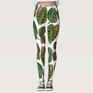 Urban jungle house plant pattern leggings