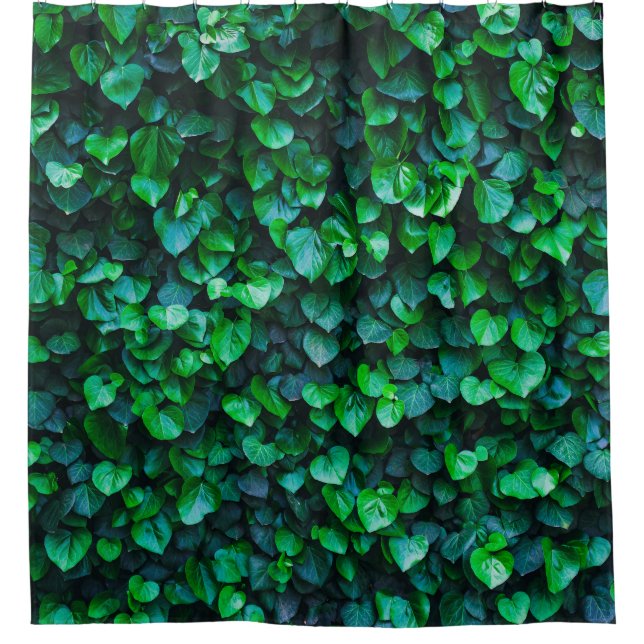 Urban jungle indoor gardening (Front)