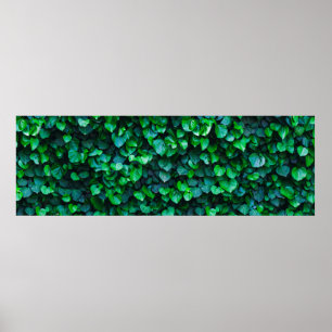 Urban jungle indoor gardening poster