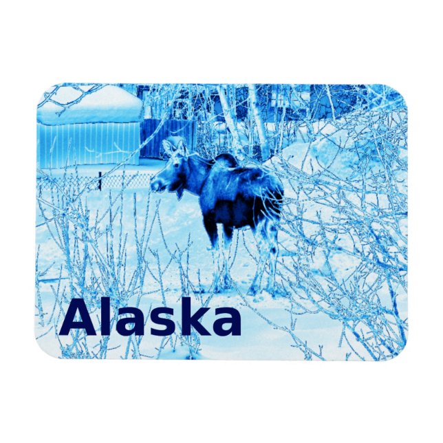 Urban Moose Magnet (Horizontal)