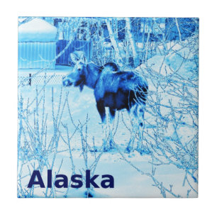 Urban Moose Tile