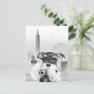 Urban Photographer: Schnauzer in Taipei City Announcement Postcard