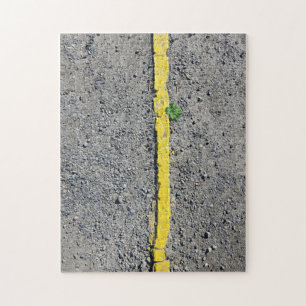 Urban Resilience - Urban Geometry Puzzle
