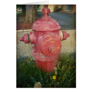 Urban Treated Fire Hydrant Card