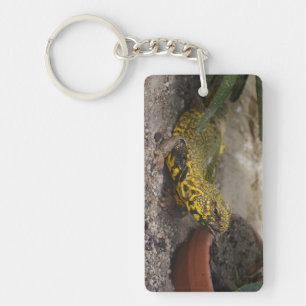 Uromastyx geyri keychain