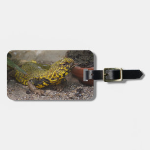 Uromastyx geyri luggage tag